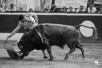 Mont-de-Marsan corrida de Dolores Aguirre pour Octavio Chacon - Pepe Moral - Juan Léal