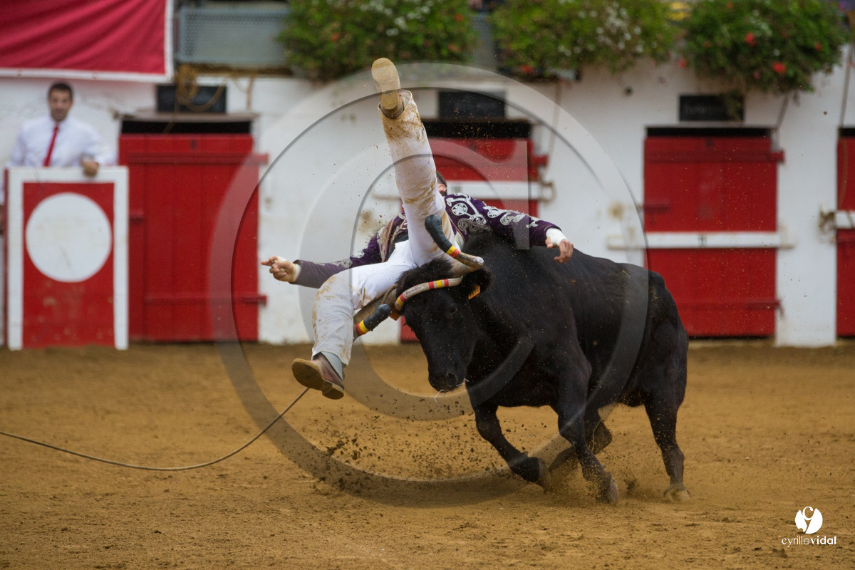 Nogaro Championnatde France de Course Landaise 2017