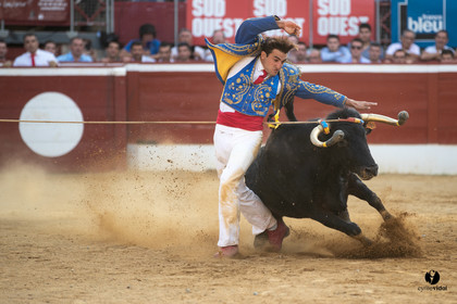 Mont-de-Marsan championnat de France de course landaise 2019