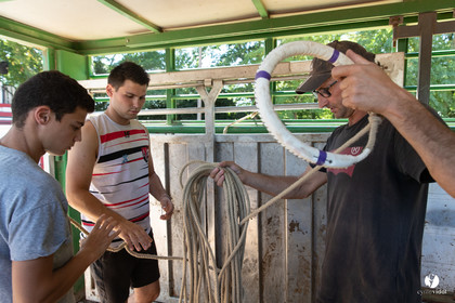 Course landaise à Panjas