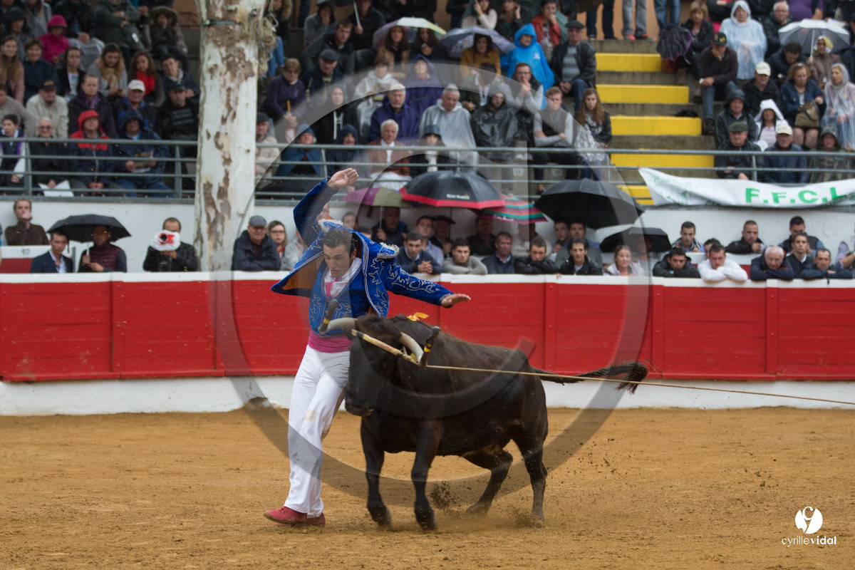 Nogaro Championnatde France de Course Landaise 2017