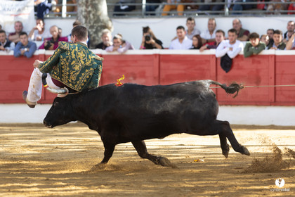 Nogaro Championnat de France de course landaise 2022