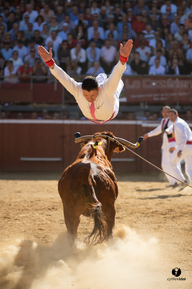 Mont-de-Marsan championnat de France de course landaise 2019