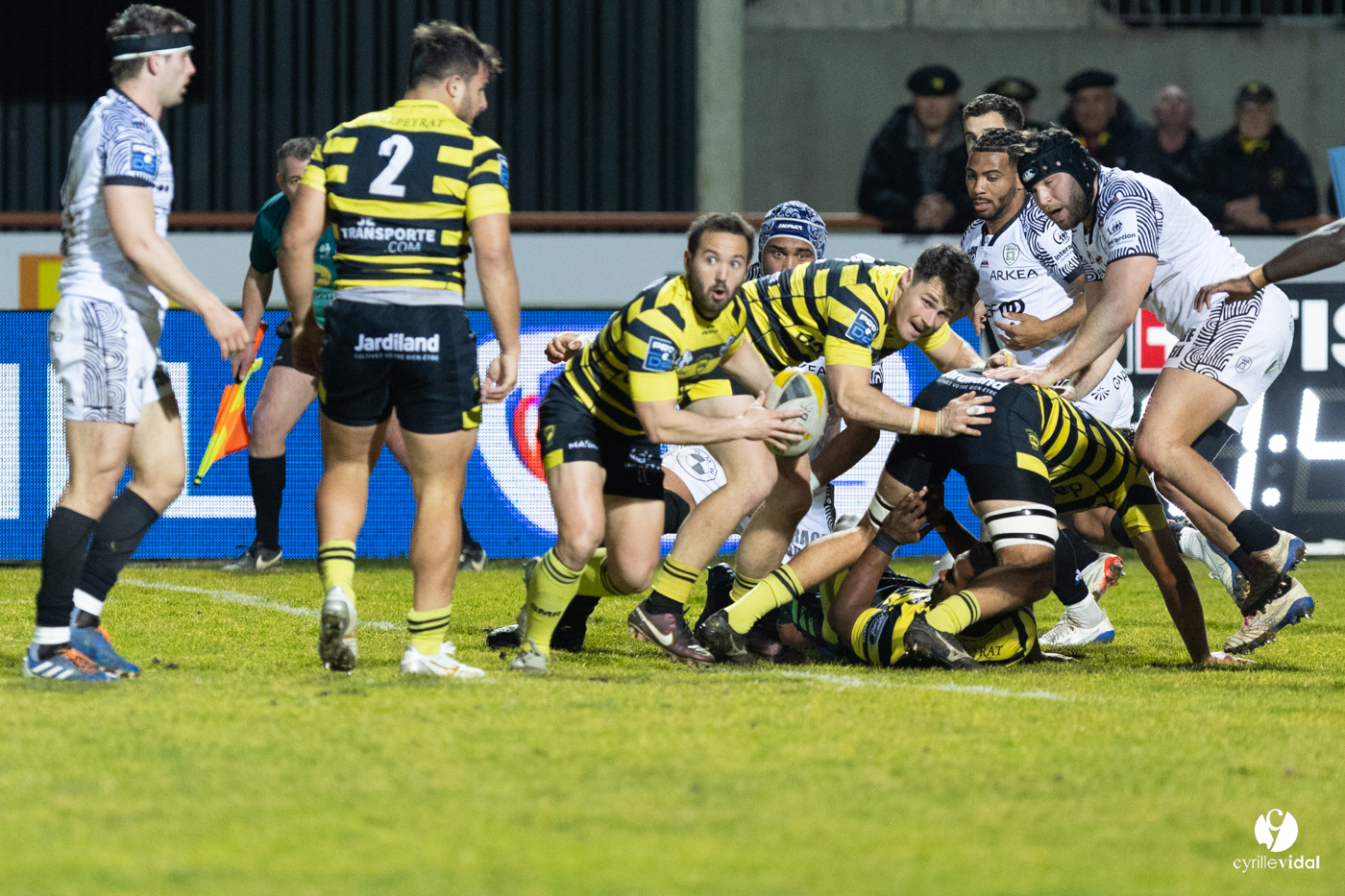Stade Montois Rugby - Vannes