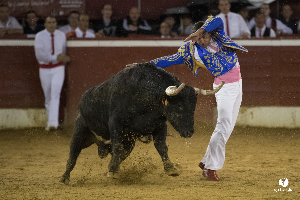 Mont-de-Marsan festival Art et Courage