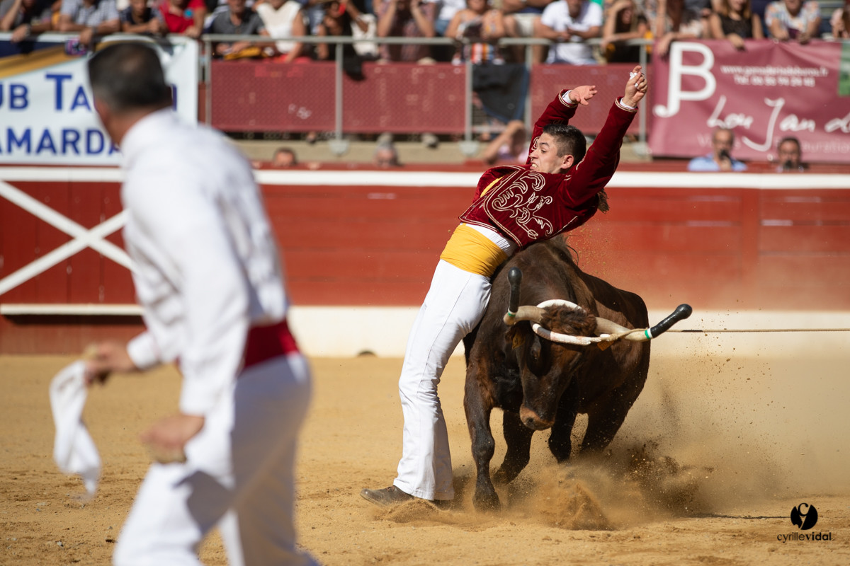 Mont-de-Marsan championnat de France de course landaise 2019