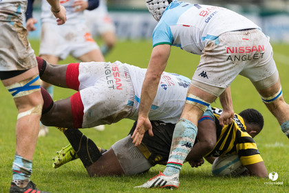 Bayonne - Stade Montois