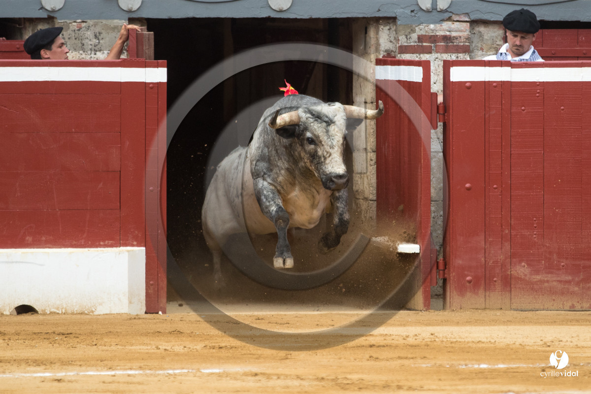 Mont-de-Marsan corrida de la Quinta pour Juan Bautista - Emilio de Justo - Thomas DUFAU