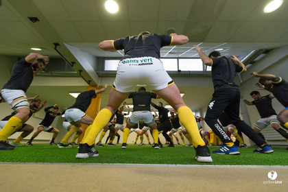 Stade Montois Rugby - Colomiers