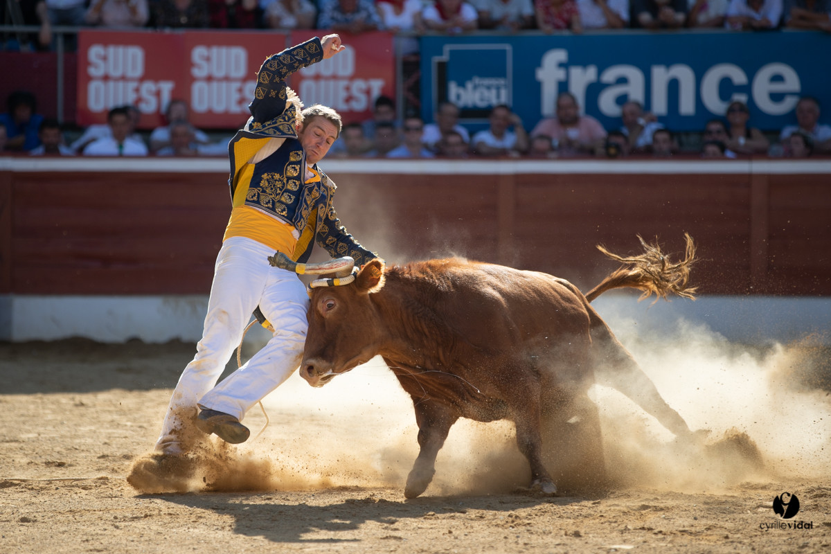 Mont-de-Marsan championnat de France de course landaise 2019