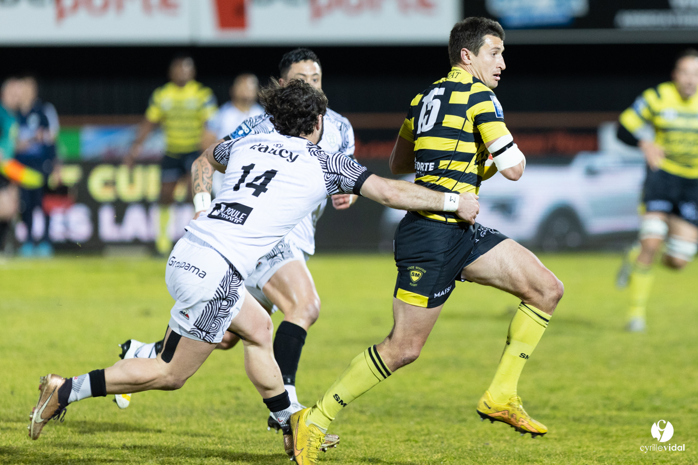 Stade Montois Rugby - Vannes