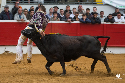 Nogaro Championnatde France de Course Landaise 2017