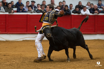 Nogaro Championnatde France de Course Landaise 2017