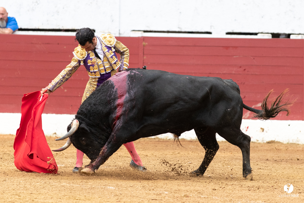 Corrida d'Aire sur l'Adour