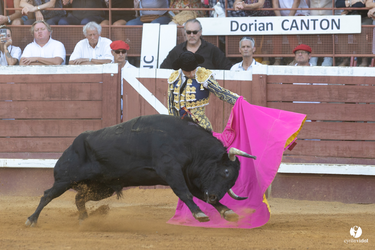Corrida de Villeneuve-de-Marsan