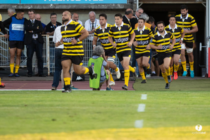 Stade Montois Rugby - Carcassonne