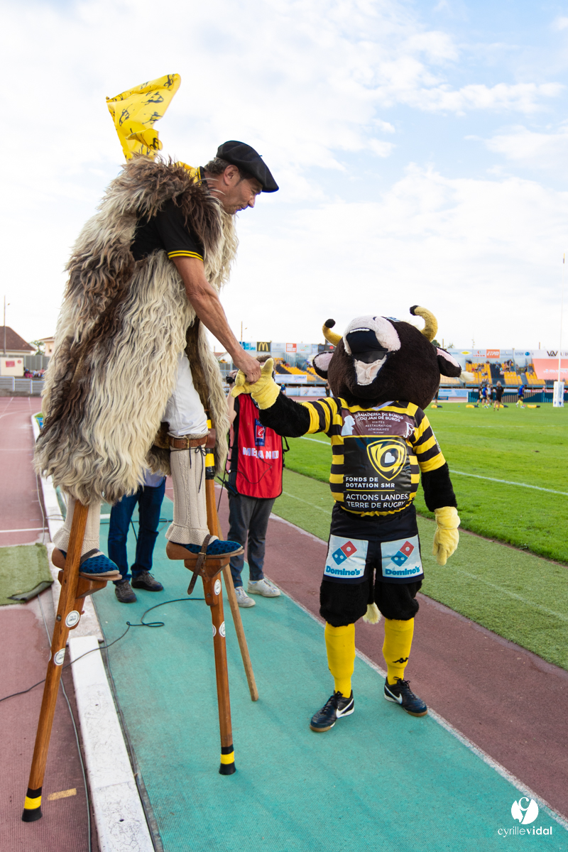 Stade Montois Rugby - Bourg en Bresse