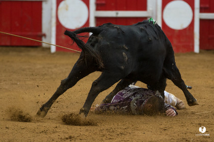 Nogaro Championnatde France de Course Landaise 2017