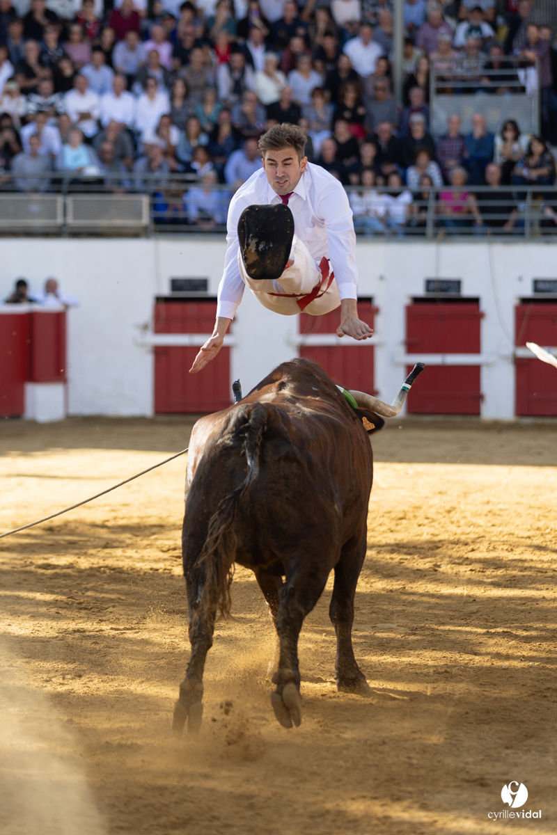 Nogaro Championnat de France de course landaise 2022
