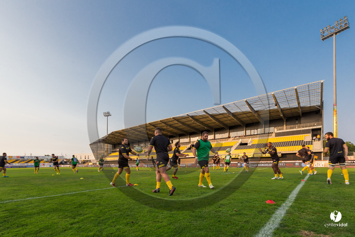 Rugby STADE MONTOIS - VANNES