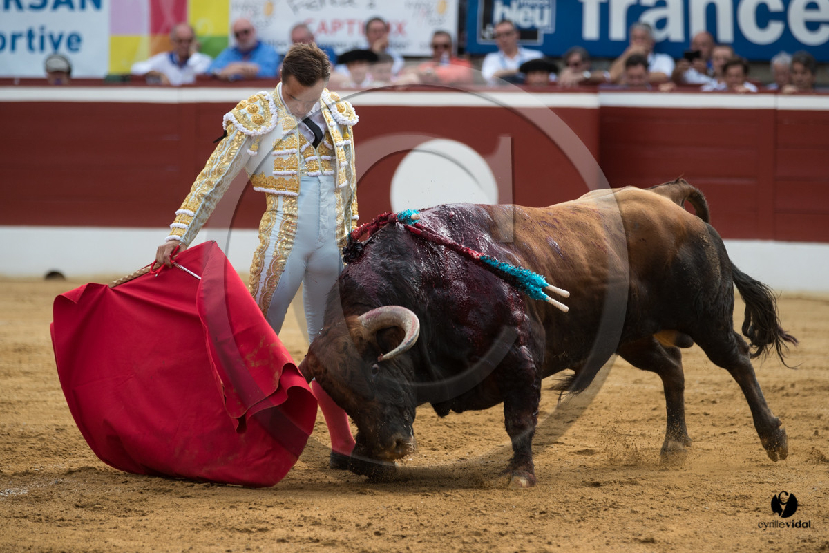 Mont-de-Marsan corrida de Garcigrande pour El Juli et Juan Bautista