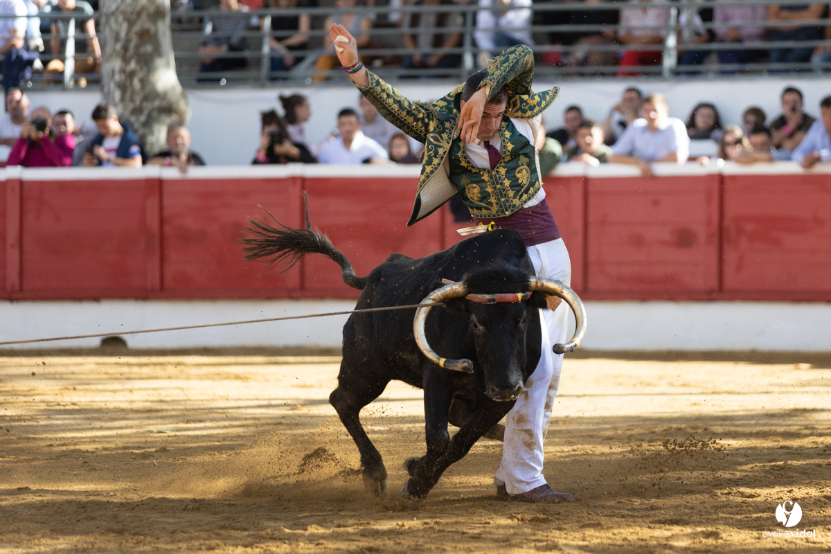 Nogaro Championnat de France de course landaise 2022