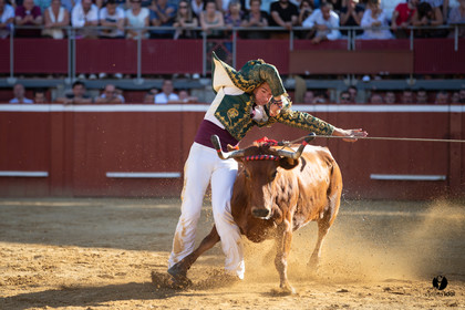 Mont-de-Marsan championnat de France de course landaise 2019