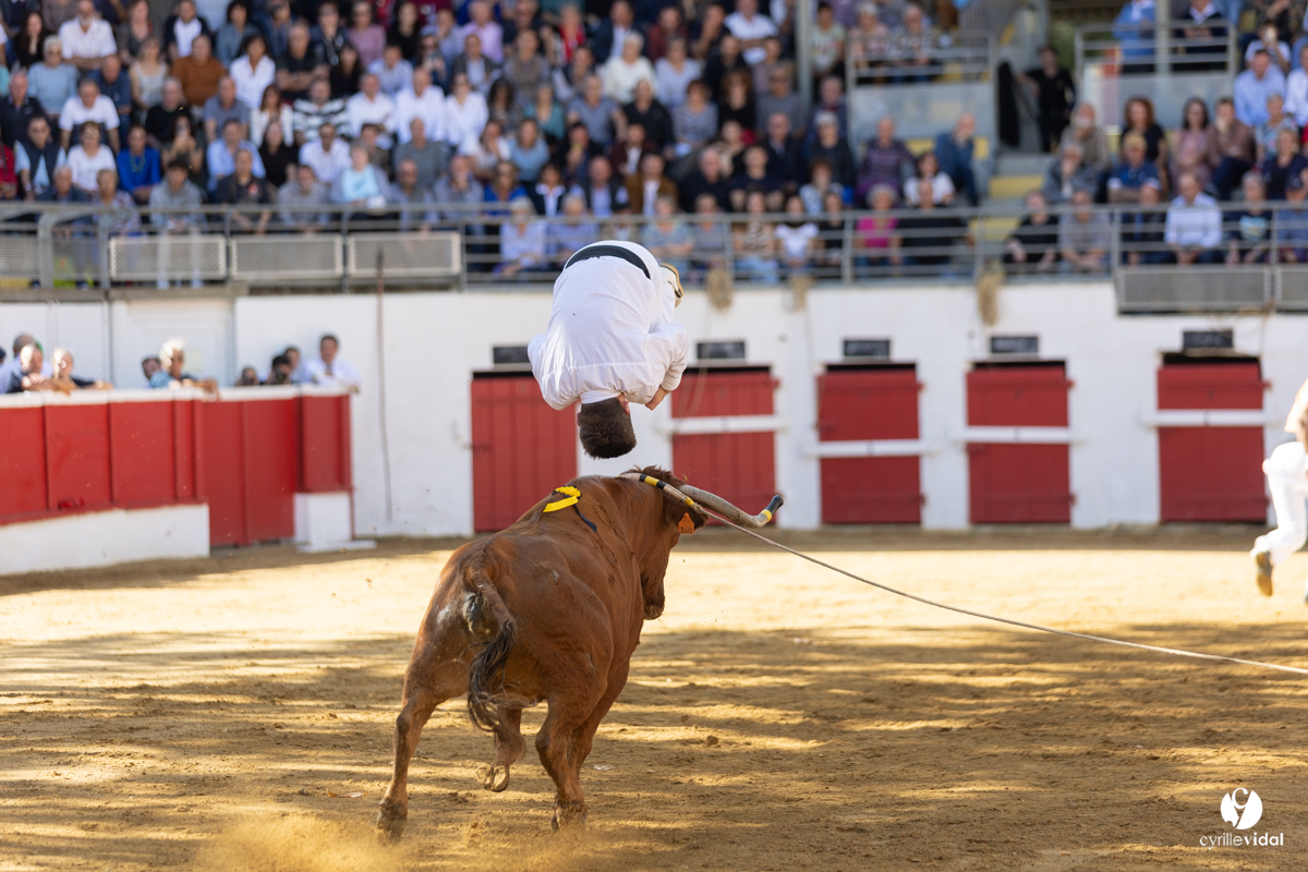 Nogaro Championnat de France de course landaise 2022