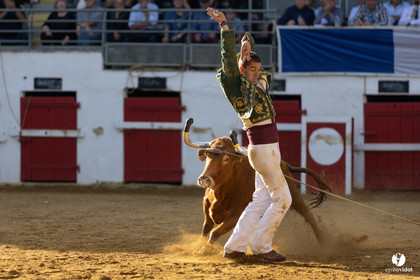 Nogaro Championnat de France de course landaise 2022
