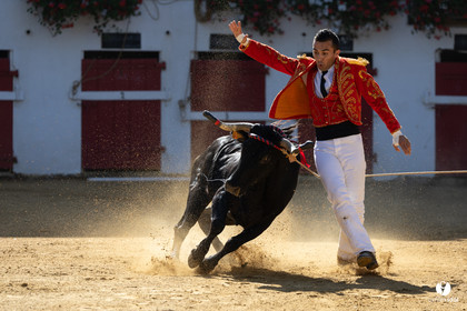 Nogaro Corne d'Or 2023