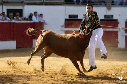 Nogaro Championnat de France de course landaise 2022