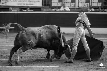 Mont-de-Marsan corrida de Dolores Aguirre pour Octavio Chacon - Pepe Moral - Juan Léal