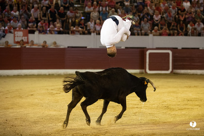 Landes émotions à Aire-sur-l'Adour