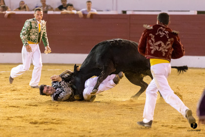 Aire sur l'Adour course landaise génération Aturine
