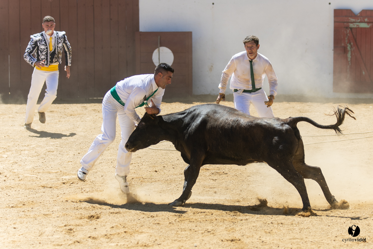 Saint-Cricq Chalosse course landaise de promotion Ganadéria Deyris Cuadrilla Jérémy Lafitte
