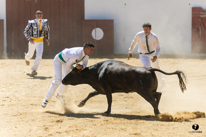 Saint-Cricq Chalosse course landaise de promotion Ganadéria Deyris Cuadrilla Jérémy Lafitte
