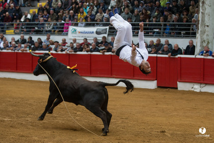Nogaro Championnatde France de Course Landaise 2017