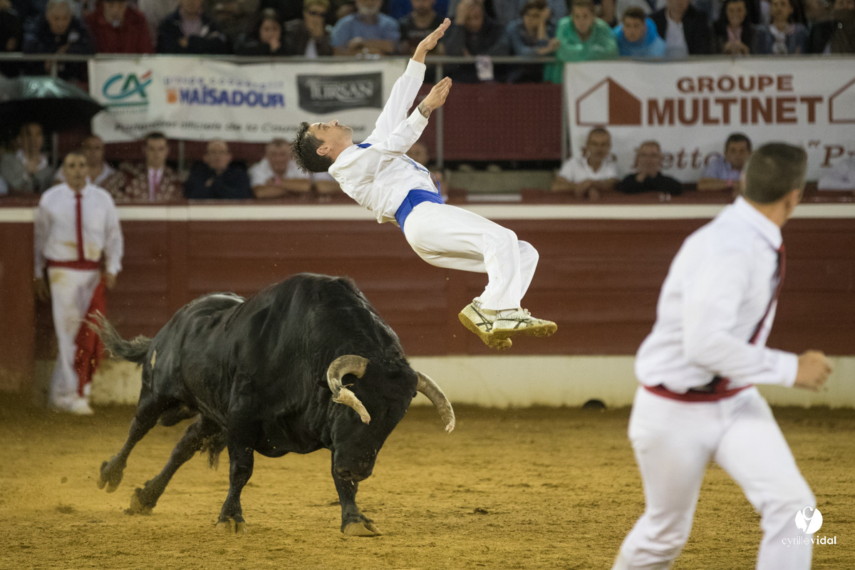 Mont-de-Marsan festival Art et Courage