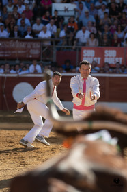 Mont-de-Marsan championnat de France de course landaise 2019