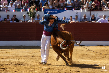 Aire-sur-l'Adour Championnat de France de course landaise 2023