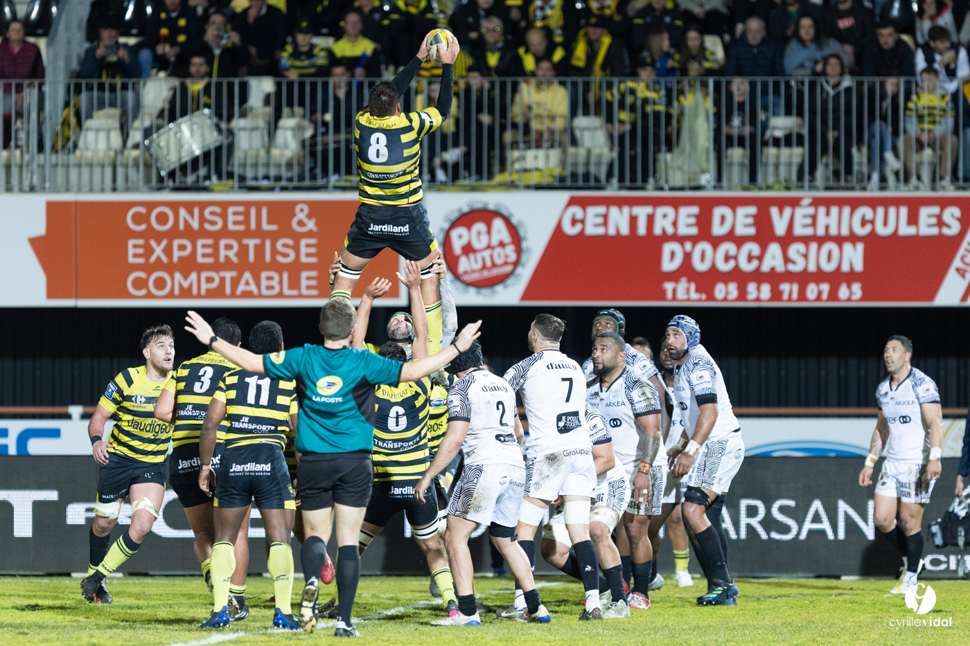 Stade Montois Rugby - Vannes