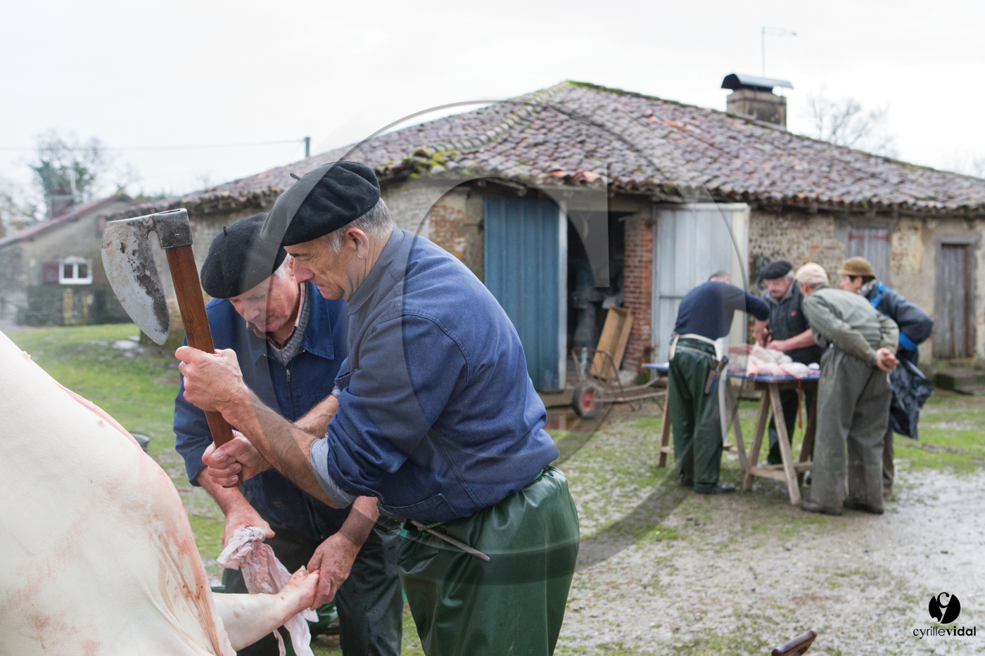 Jours de pelère