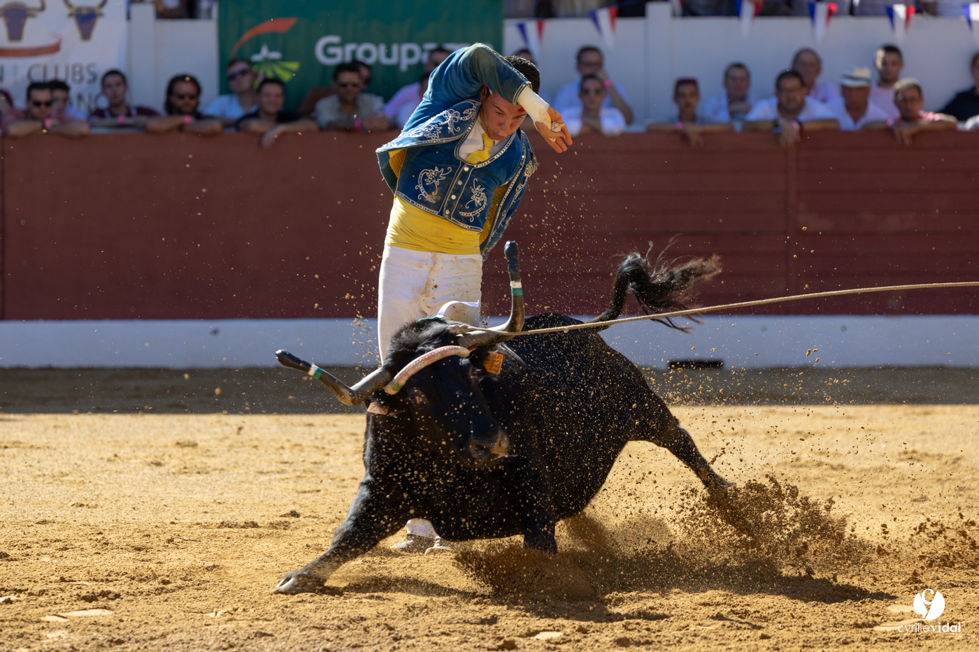 Aire-sur-l'Adour Championnat de France de course landaise 2023