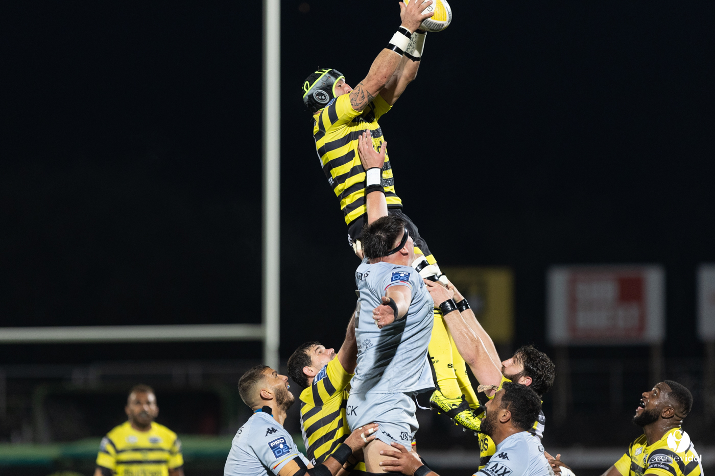 Stade Montois Rugby - Provence