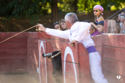 Course landaise à Panjas
