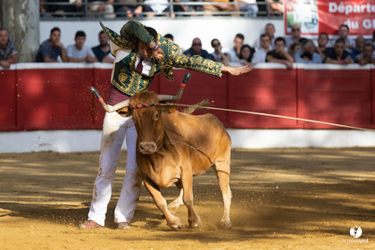 Nogaro Championnat de France de course landaise 2022
