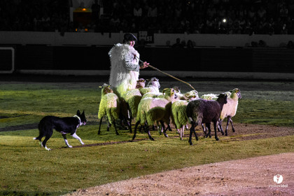 Landes émotions à Aire-sur-l'Adour