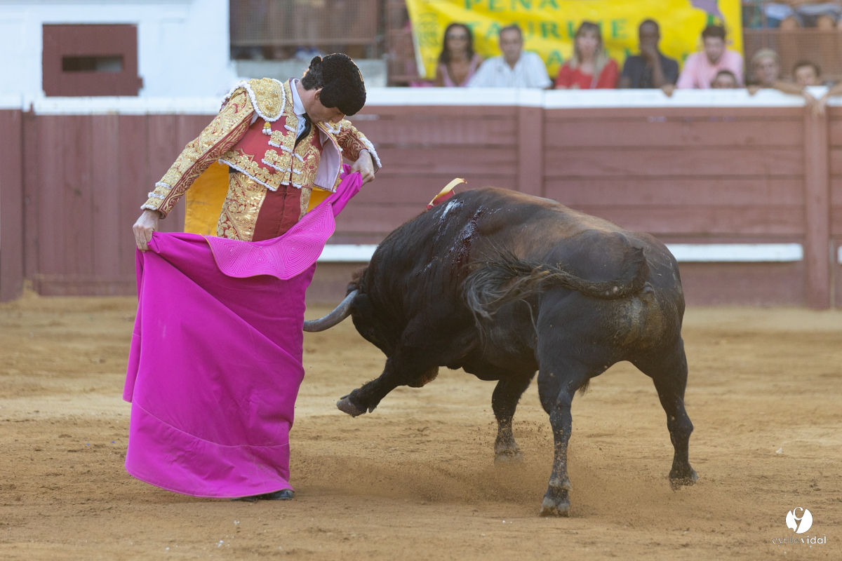 Corrida de Villeneuve-de-Marsan