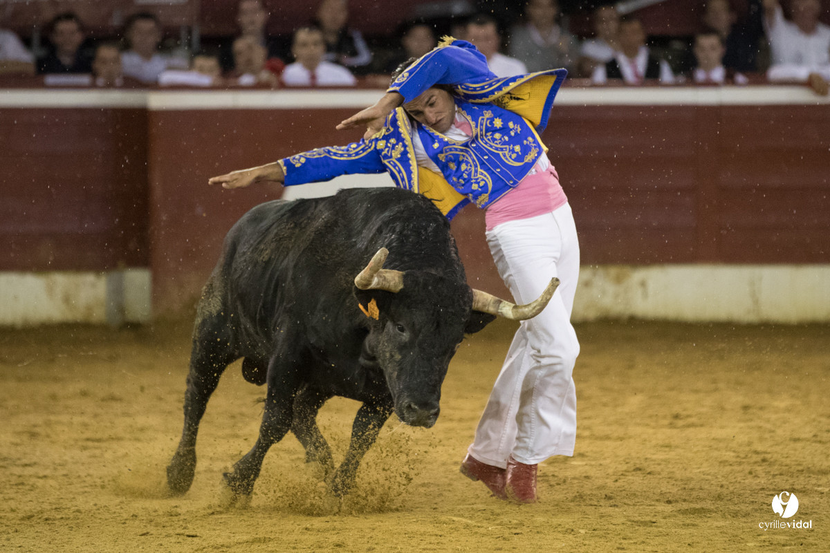 Mont-de-Marsan festival Art et Courage