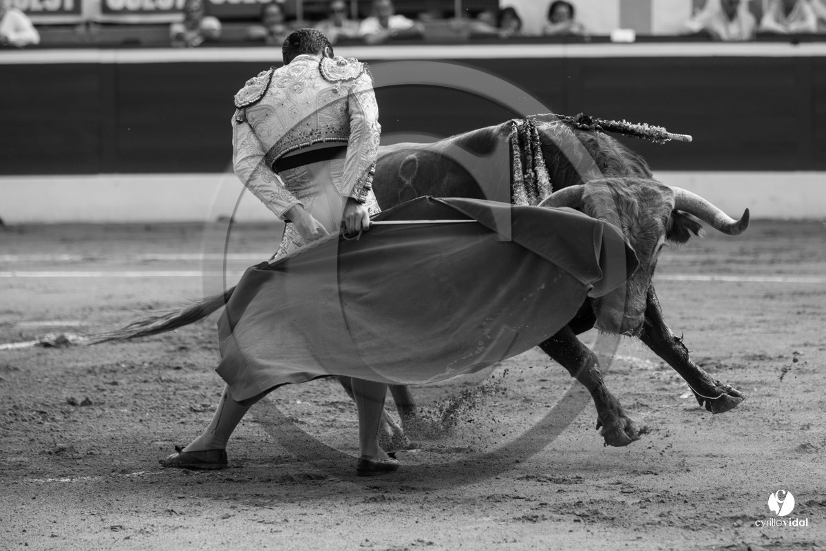 Mont-de-Marsan corrida de Dolores Aguirre pour Octavio Chacon - Pepe Moral - Juan Léal